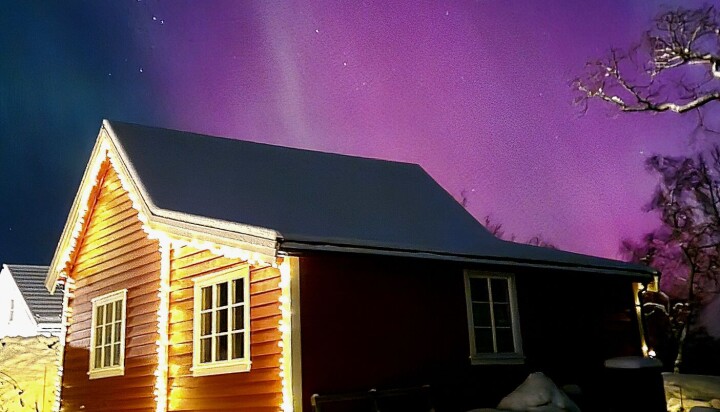 FIOLETT: Vakkert nordlys sett frå Malkenes.