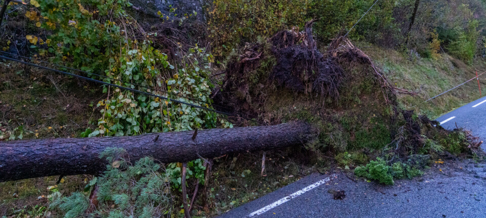 BKK og beredskap i møte med «Amy»